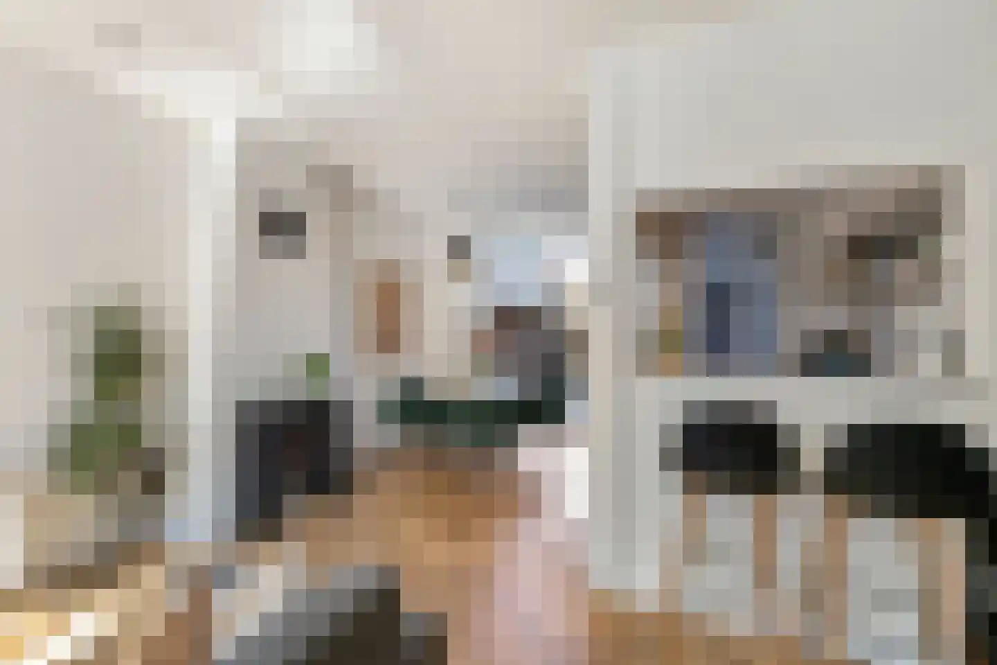Van Leeuwenhoekstraat 4 Alkmaar thumbnail 9