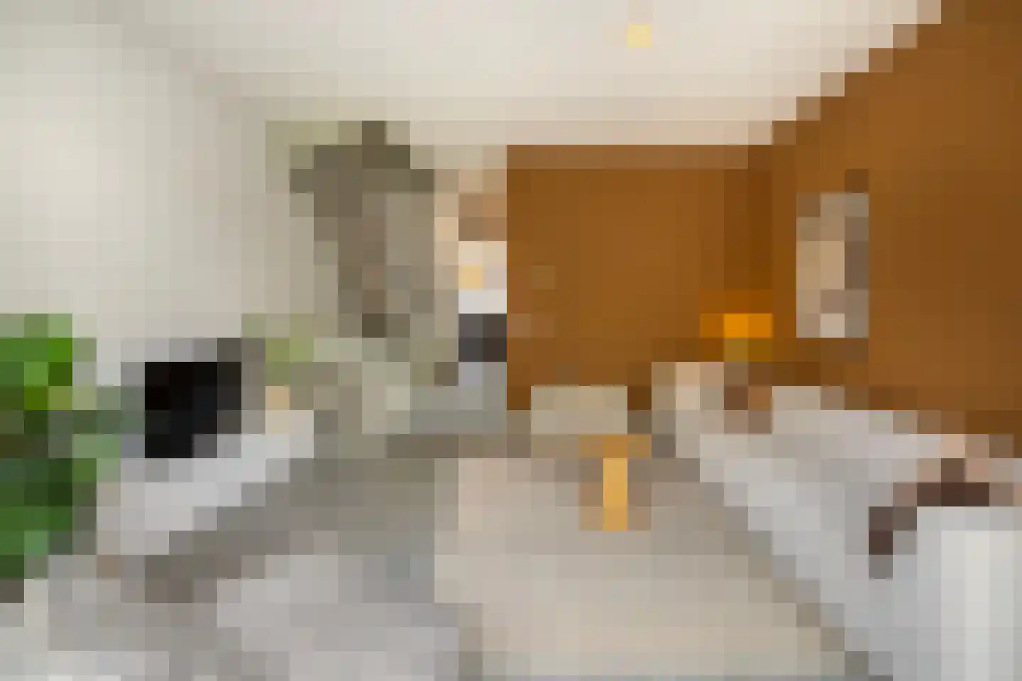 van Leeuwenhoekstraat 4 Ede thumbnail 13
