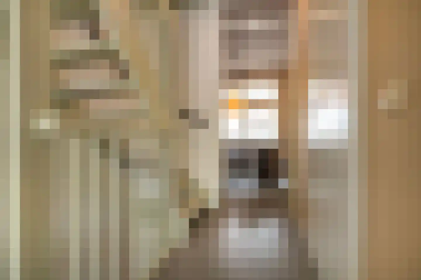 van Leeuwenhoekstraat 4 Ede thumbnail 17