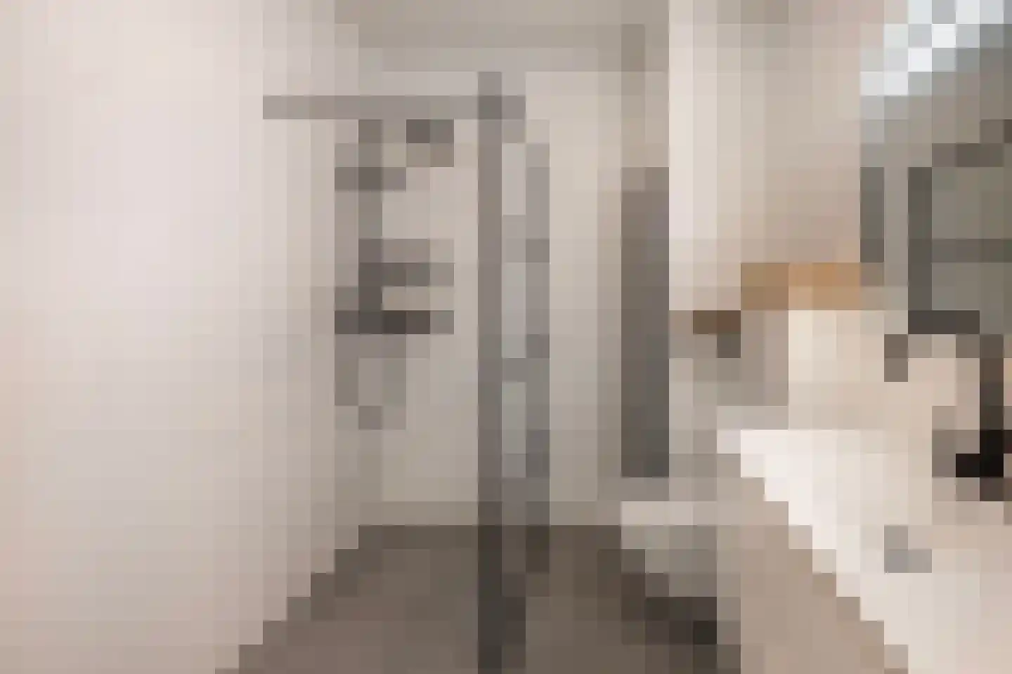 van Leeuwenhoekstraat 4 Ede thumbnail 22
