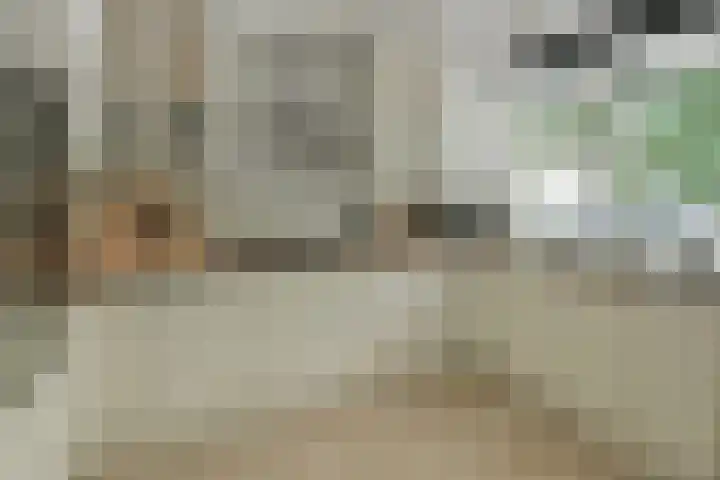 Van Leeuwenhoekstraat 4 Haarlem thumbnail 10