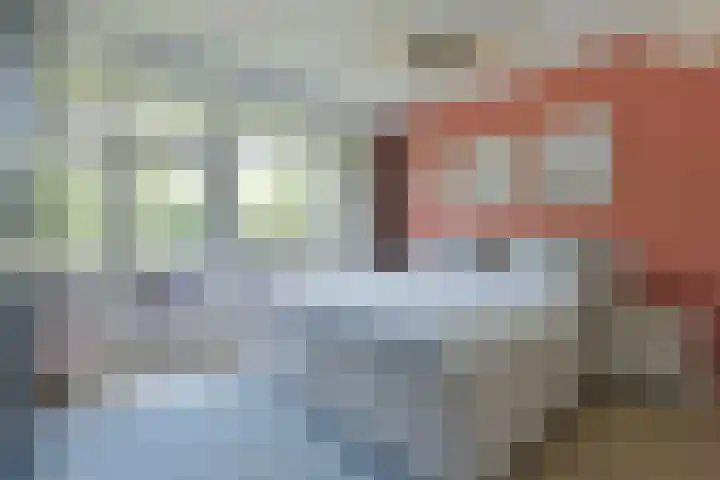 Van Leeuwenhoekstraat 4 Haarlem thumbnail 11