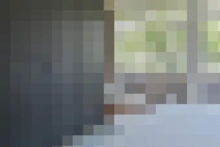 Van Leeuwenhoekstraat 4 Haarlem thumbnail 13