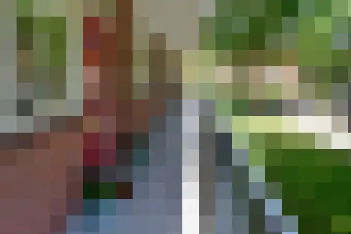 Van Leeuwenhoekstraat 4 Haarlem thumbnail 4