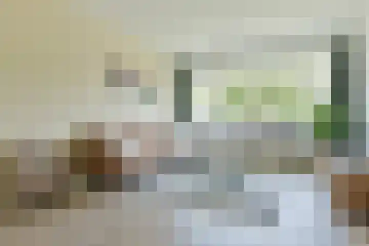 Van Leeuwenhoekstraat 4 Haarlem thumbnail 5