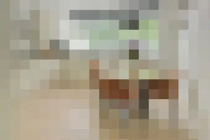 Van Leeuwenhoekstraat 4 Haarlem thumbnail 8