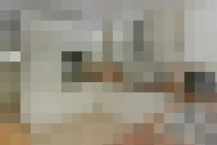 Van Leeuwenhoekstraat 4 Haarlem thumbnail 9
