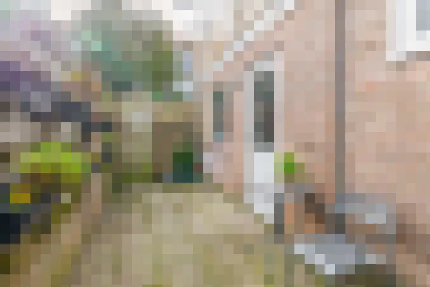 Van Leeuwenhoekstraat 40 Den Helder thumbnail 15