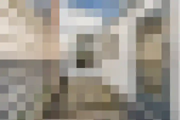 Van Leeuwenhoekstraat 42 Den Helder thumbnail 21