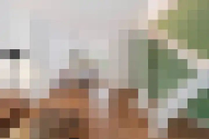 Van Leeuwenhoekstraat 42 Den Helder thumbnail 6