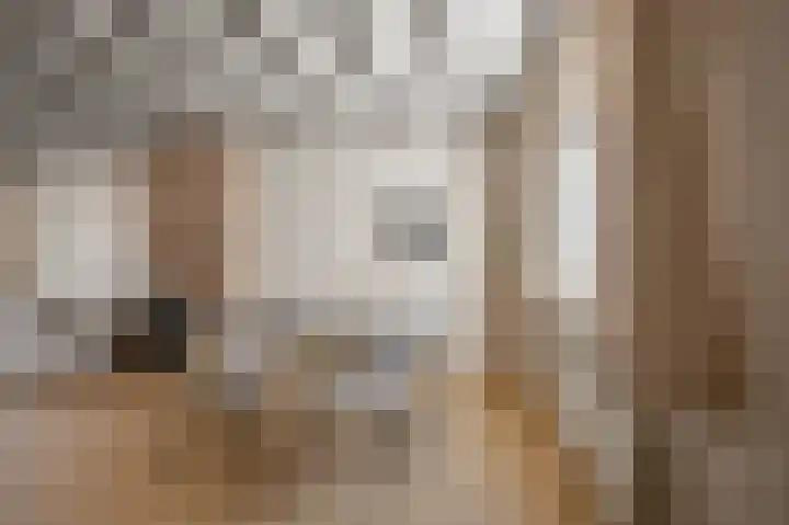 Van Leeuwenhoekstraat 43 Alkmaar thumbnail 5