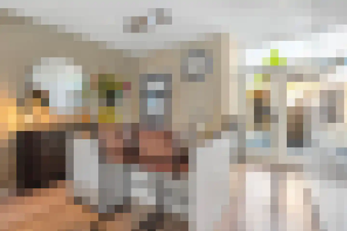 Van Leeuwenhoekstraat 47 Hilversum thumbnail 16