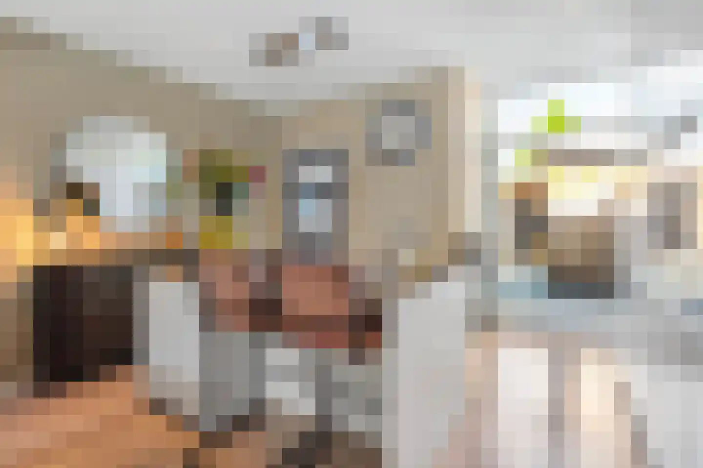 Van Leeuwenhoekstraat 47 Hilversum thumbnail 17