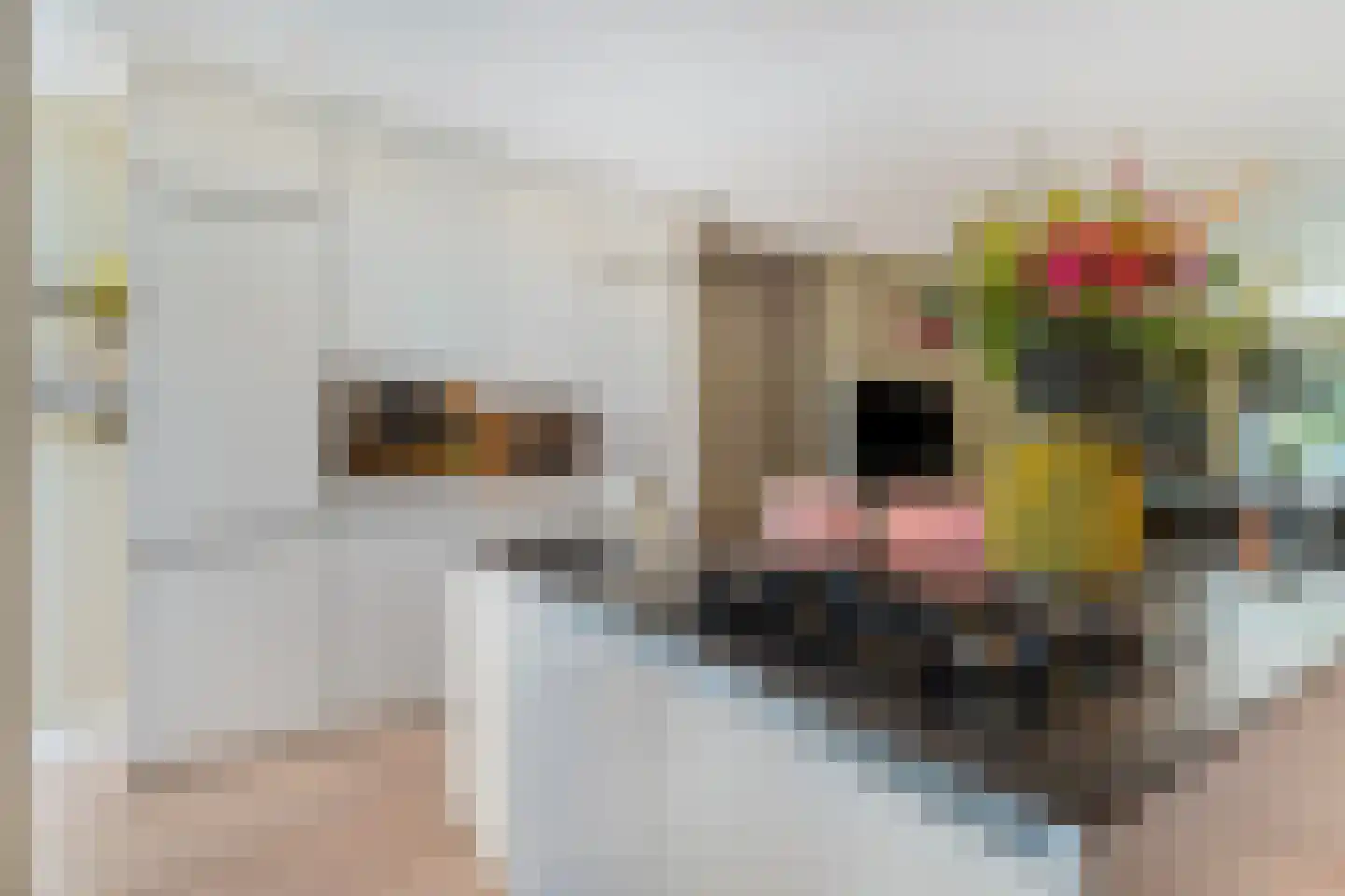 Van Leeuwenhoekstraat 47 Hilversum thumbnail 20