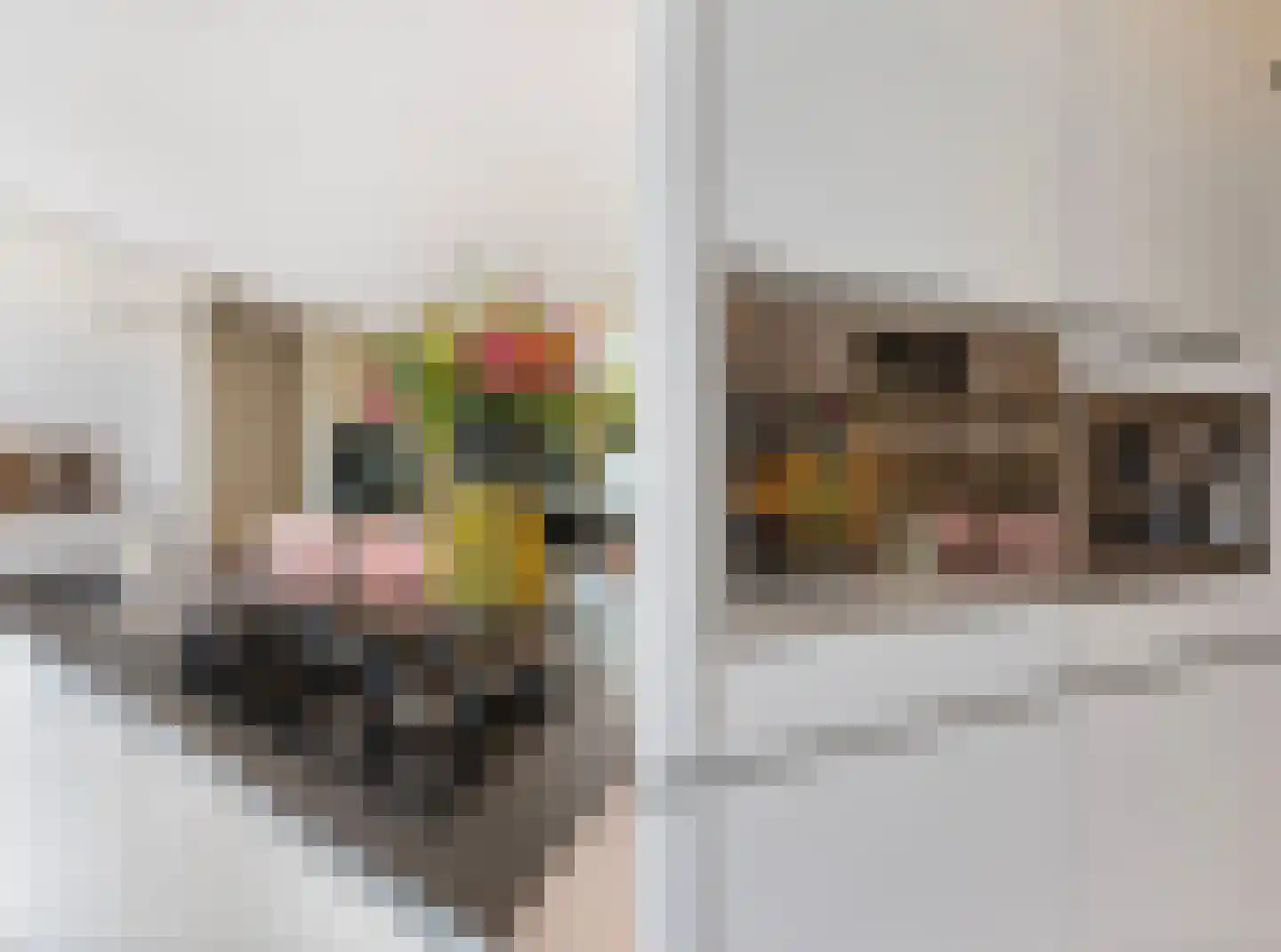 Van Leeuwenhoekstraat 47 Hilversum thumbnail 21