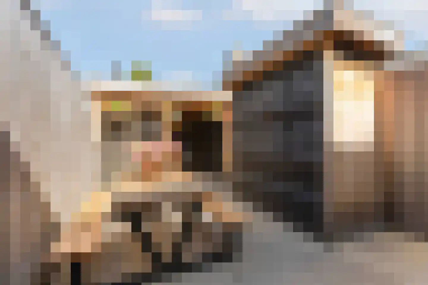 Van Leeuwenhoekstraat 47 Hilversum thumbnail 35