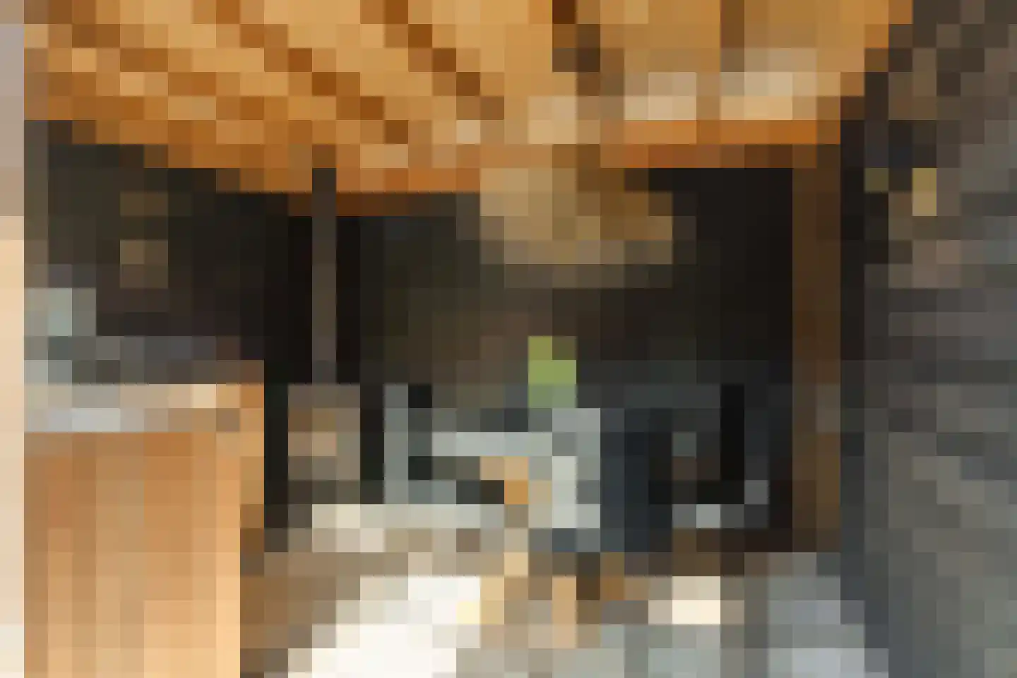 Van Leeuwenhoekstraat 47 Hilversum thumbnail 36