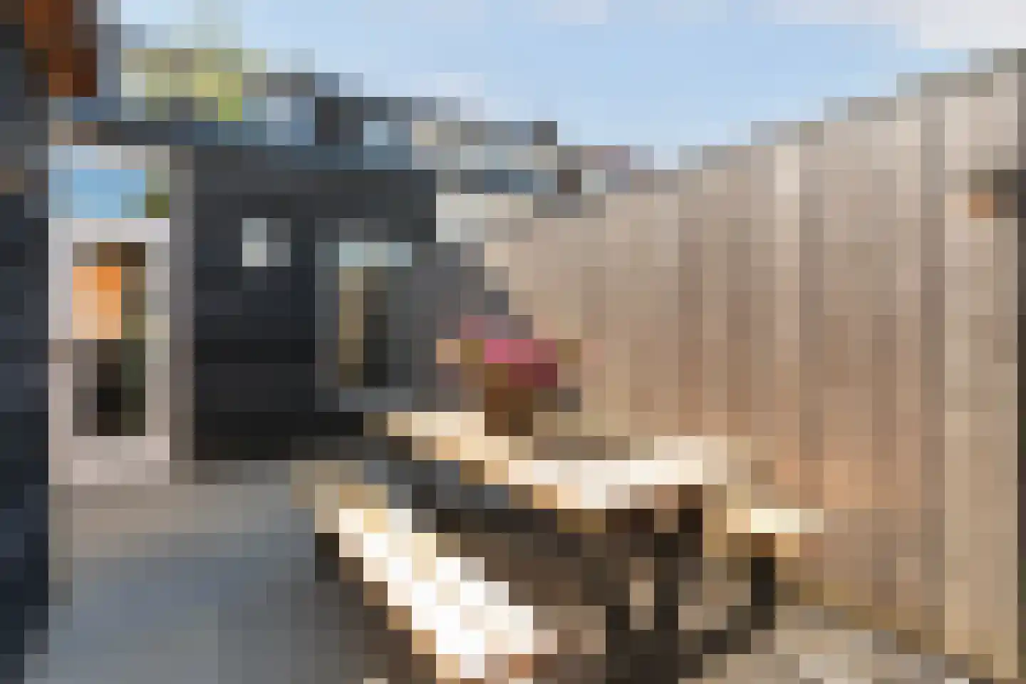 Van Leeuwenhoekstraat 47 Hilversum thumbnail 38