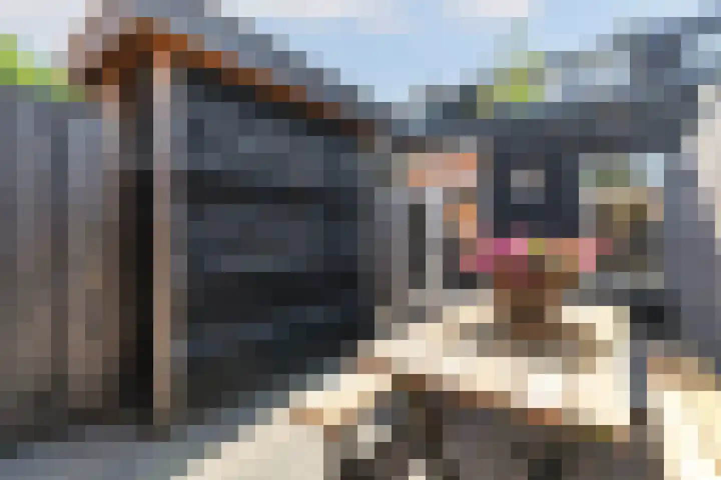 Van Leeuwenhoekstraat 47 Hilversum thumbnail 39