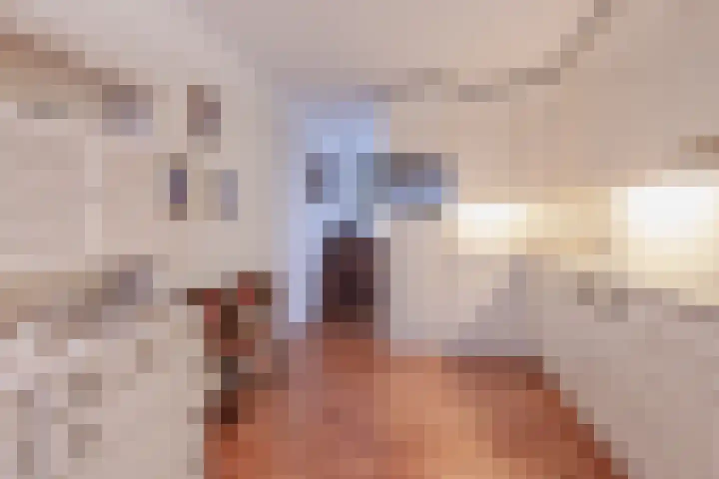 Van Leeuwenhoekstraat 48 Ridderkerk thumbnail 13
