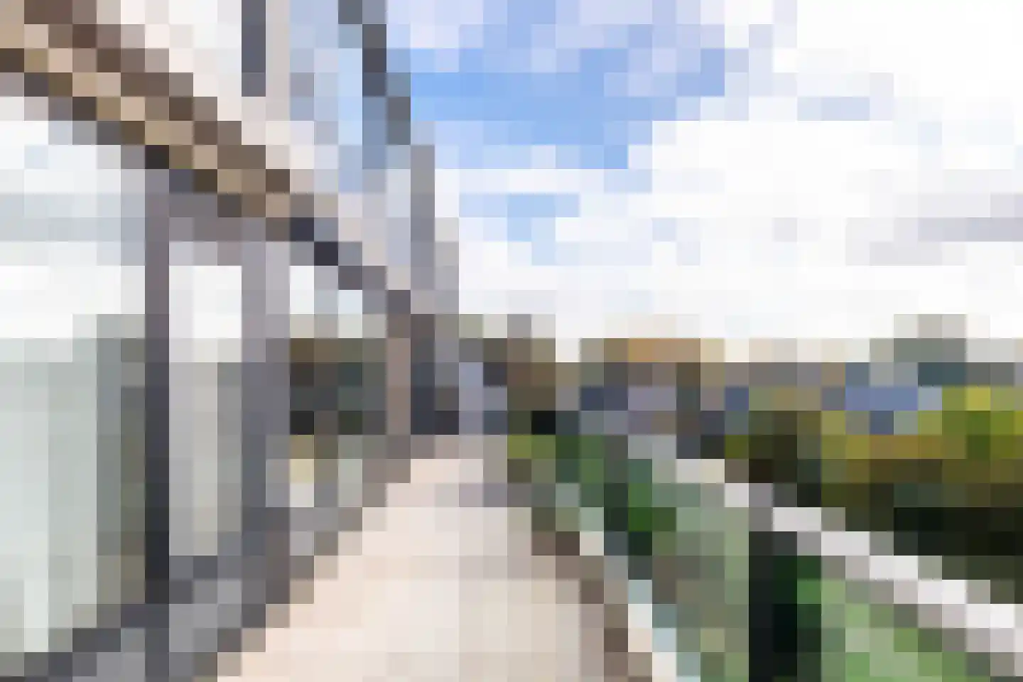 Van Leeuwenhoekstraat 48 Ridderkerk thumbnail 21
