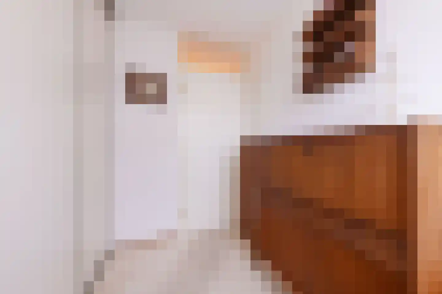 Van Leeuwenhoekstraat 48 Ridderkerk thumbnail 25