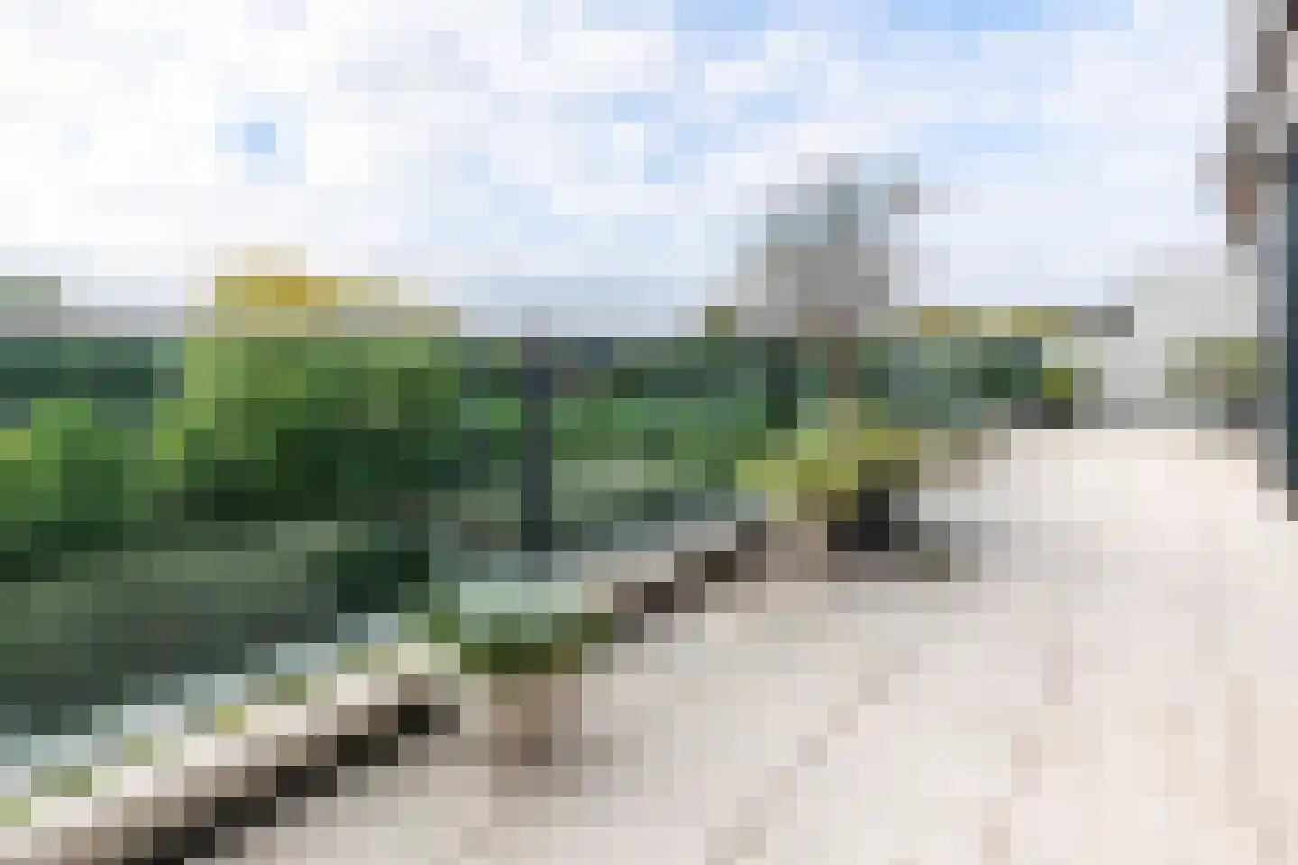 Van Leeuwenhoekstraat 48 Ridderkerk thumbnail 33