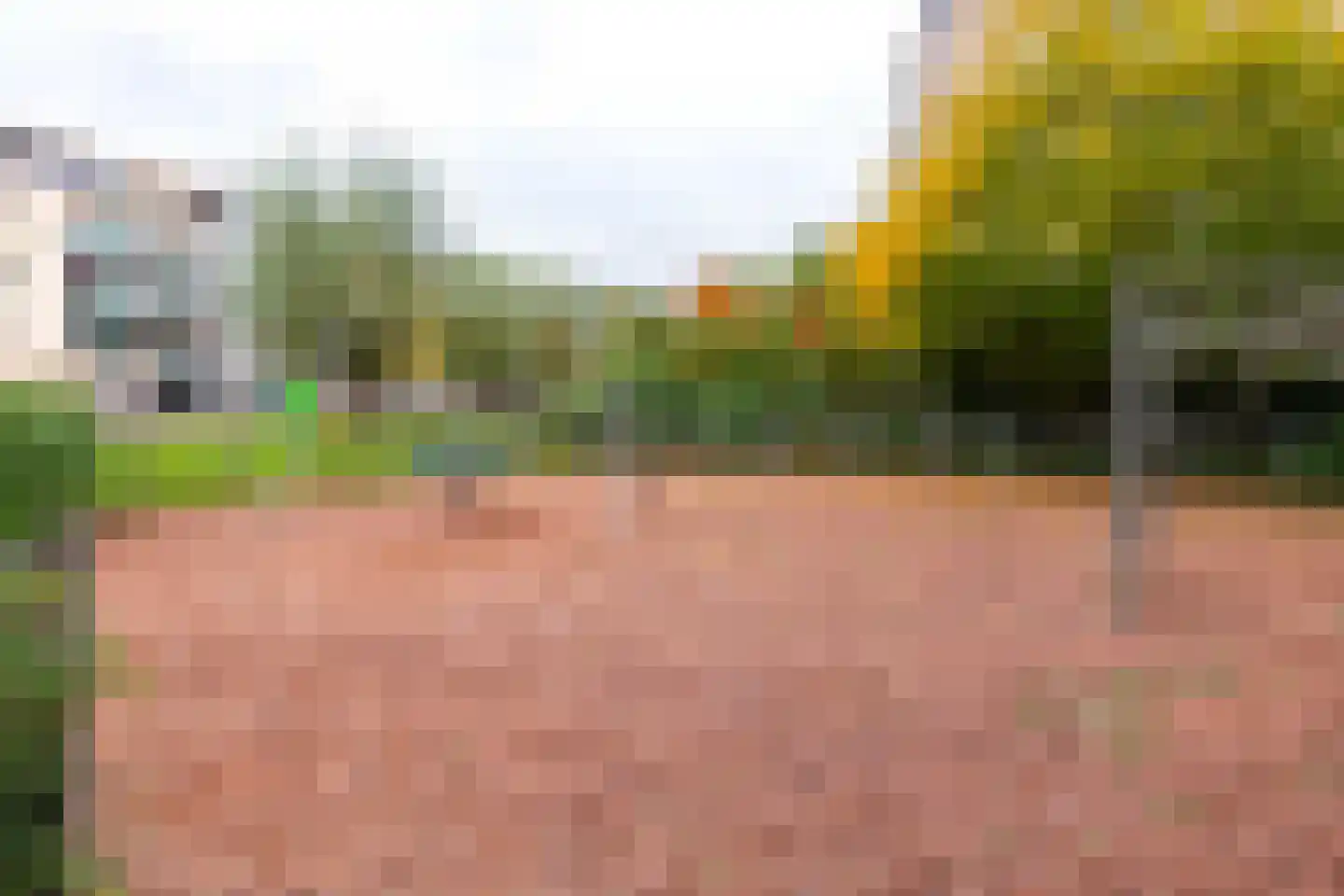 Van Leeuwenhoekstraat 48 Ridderkerk thumbnail 41