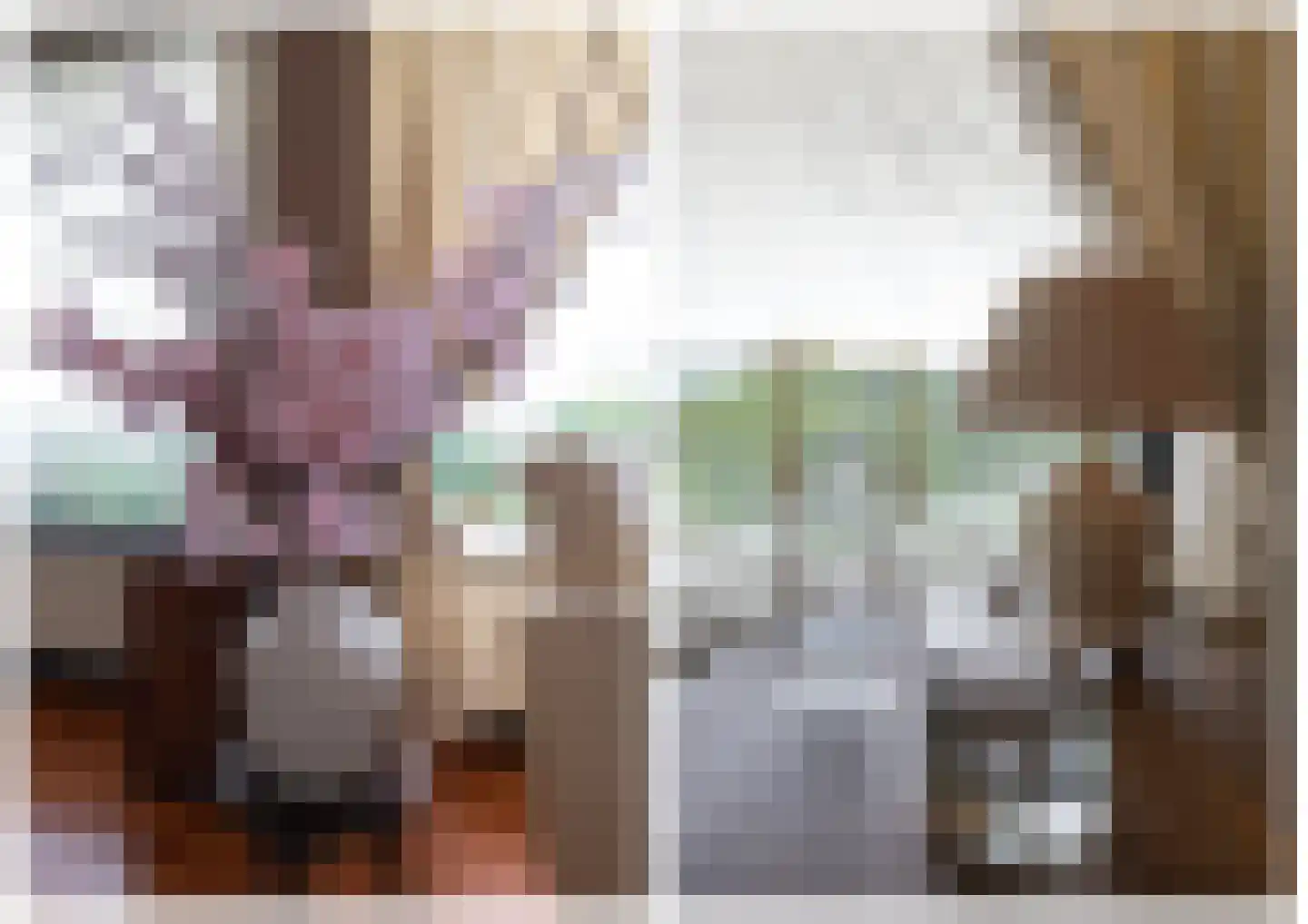 Van Leeuwenhoekstraat 48 Ridderkerk thumbnail 46
