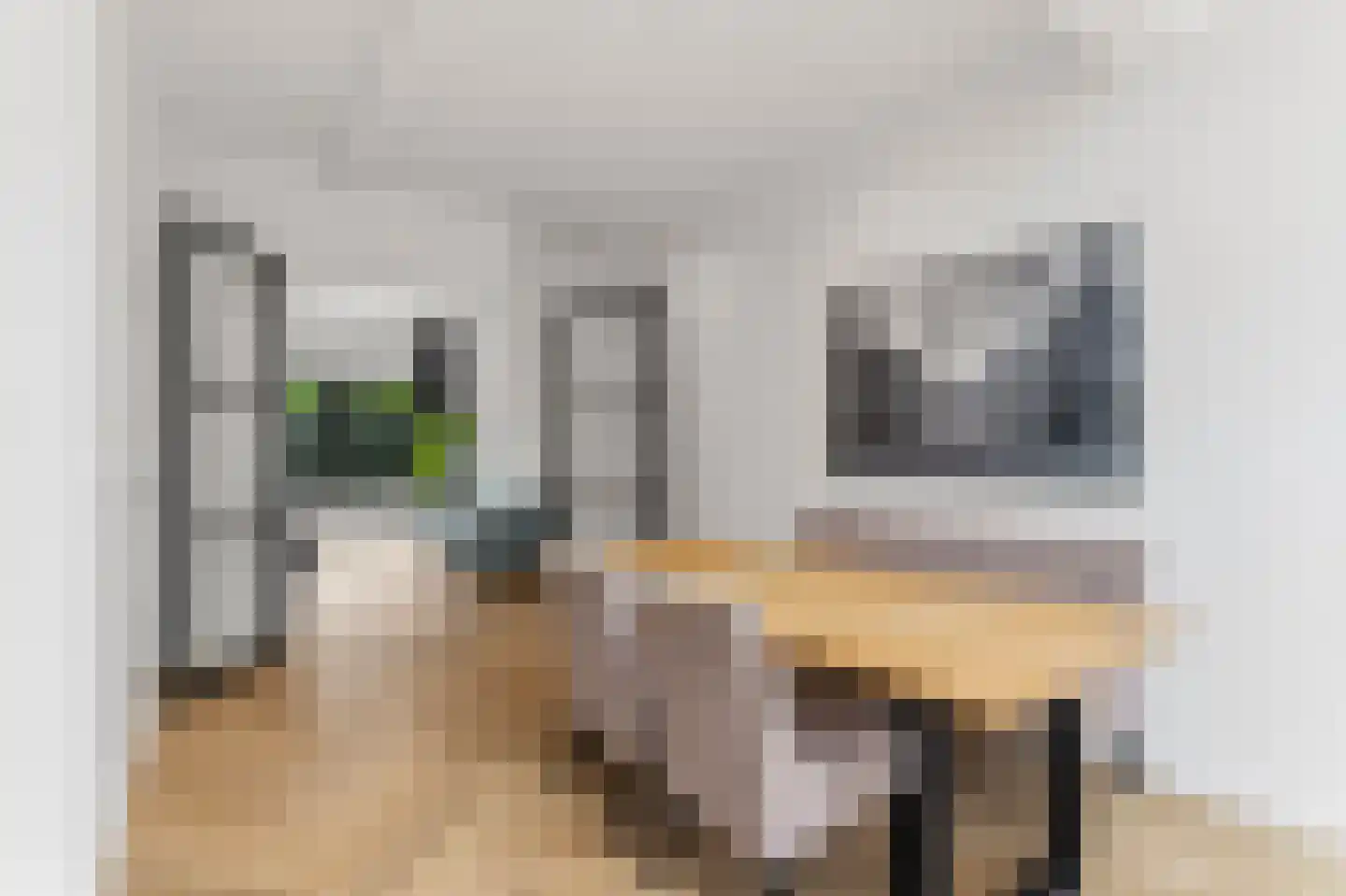 Van Leeuwenhoekstraat 49 Hilversum thumbnail 19