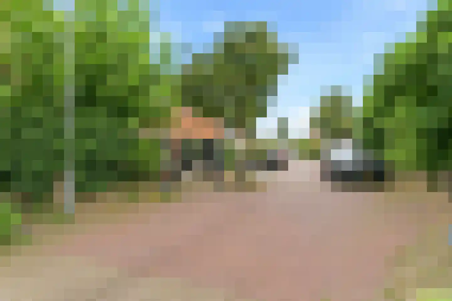 Van Leeuwenhoekstraat 49 Hilversum thumbnail 45