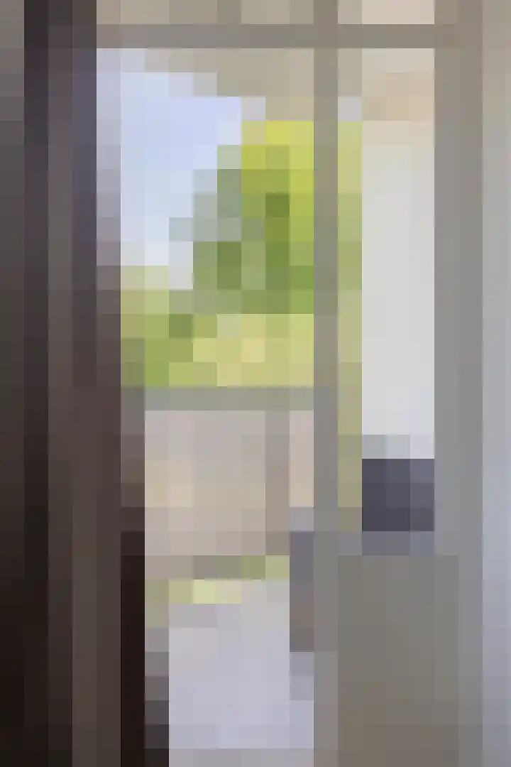 Van Leeuwenhoekstraat 5 0011 Haarlem thumbnail 17
