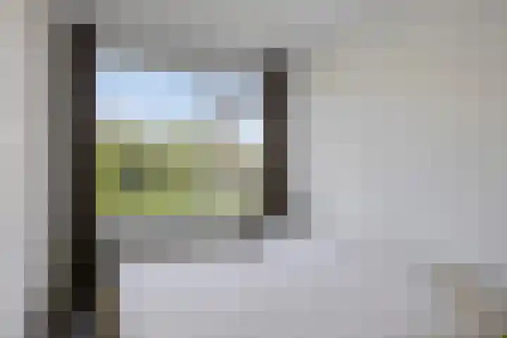 Van Leeuwenhoekstraat 5 0011 Haarlem thumbnail 24