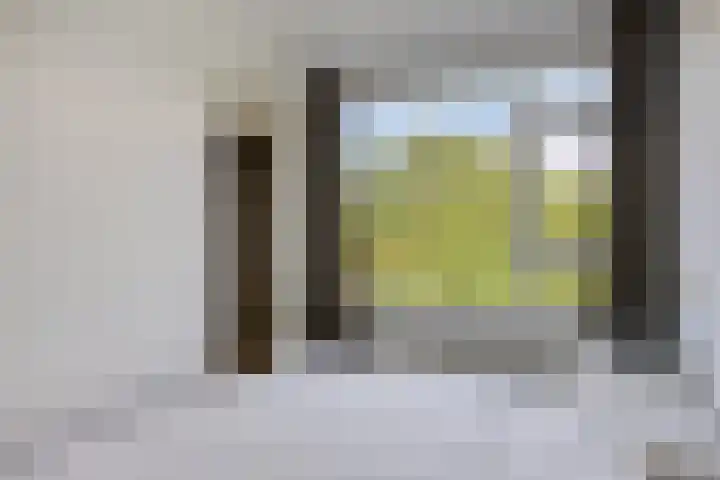 Van Leeuwenhoekstraat 5 0011 Haarlem thumbnail 25