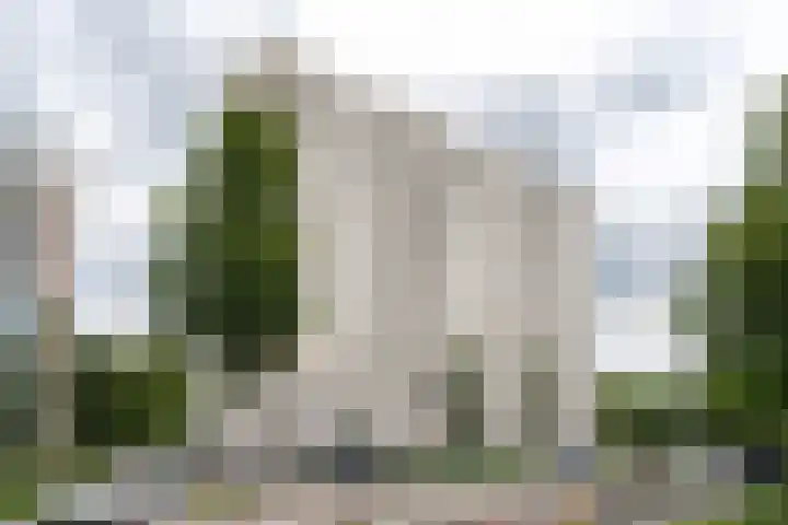 Van Leeuwenhoekstraat 5 0011 Haarlem thumbnail 27