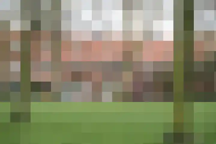 Van Leeuwenhoekstraat 5 0011 Haarlem thumbnail 30