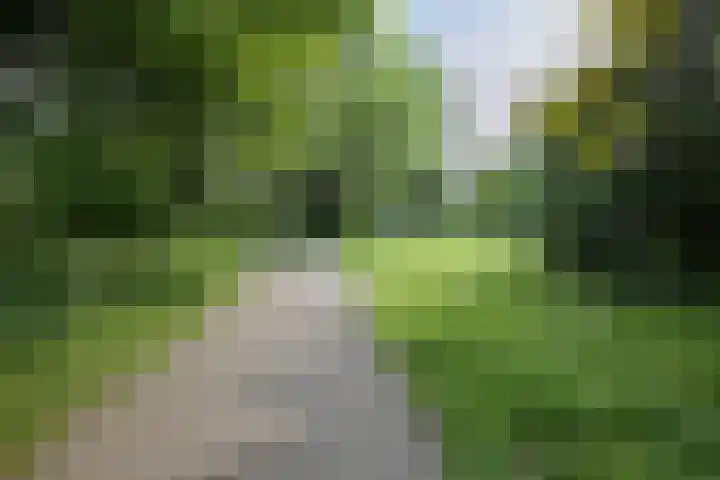 Van Leeuwenhoekstraat 5 0011 Haarlem thumbnail 44