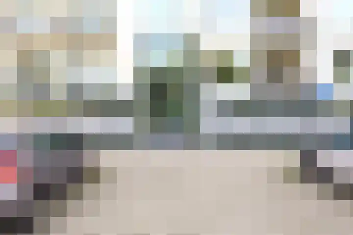 Van Leeuwenhoekstraat 5 0011 Haarlem thumbnail 5