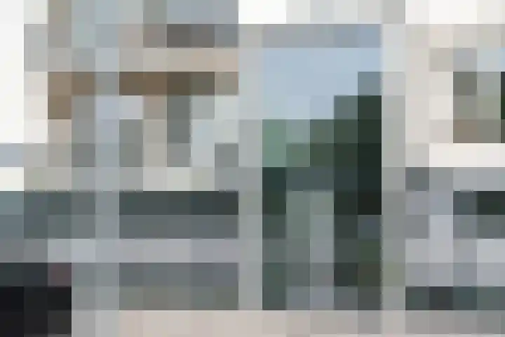 Van Leeuwenhoekstraat 5 0011 Haarlem thumbnail 7