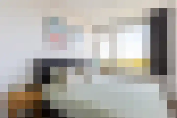 Van Leeuwenhoekstraat 5 0011 Haarlem thumbnail 9