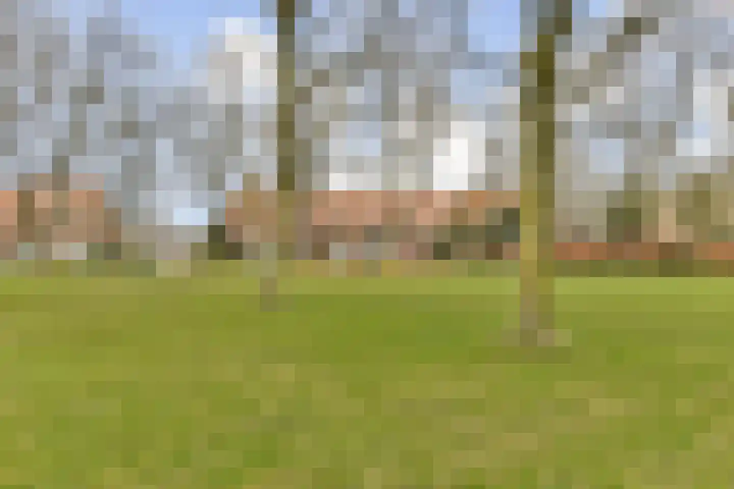 Van Leeuwenhoekstraat 5 0119 Haarlem thumbnail 22