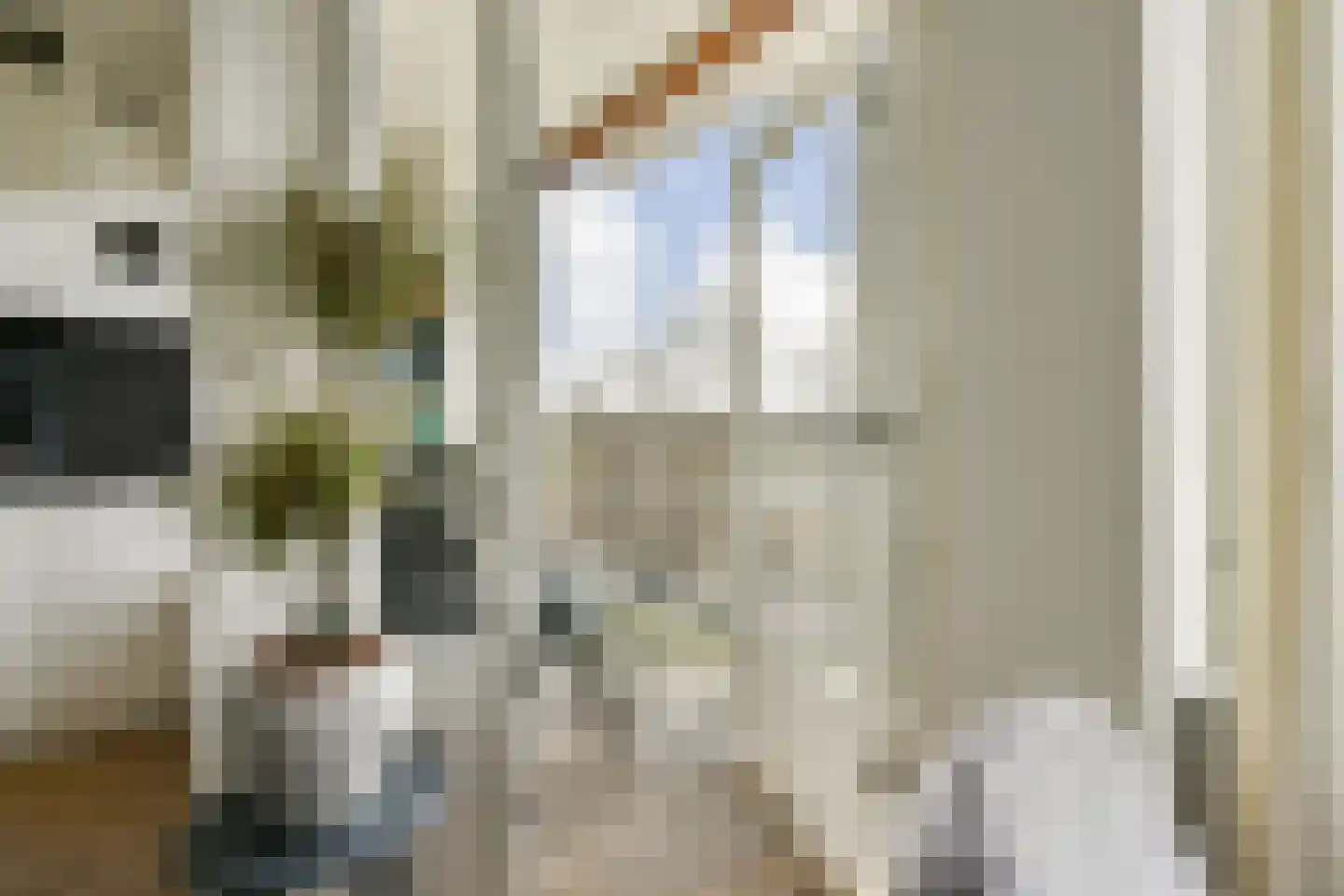 Van Leeuwenhoekstraat 5 0119 Haarlem thumbnail 6