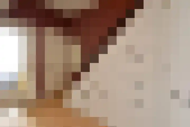Van Leeuwenhoekstraat 5 Hilversum thumbnail 12