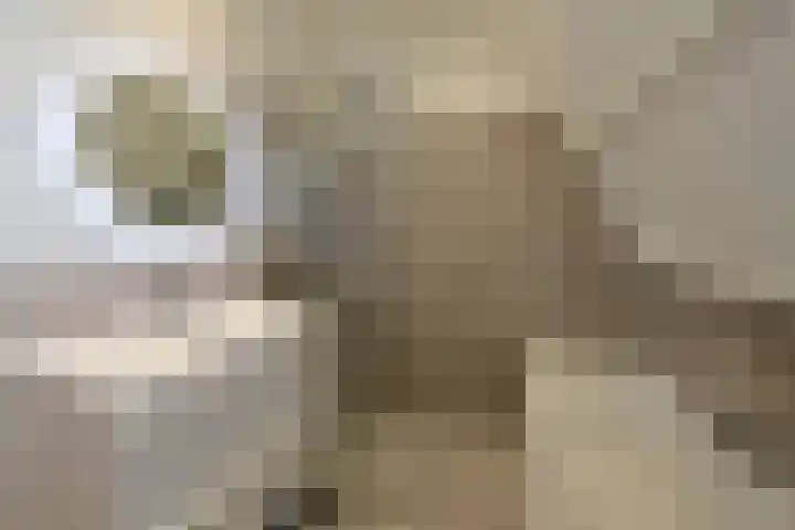 Van Leeuwenhoekstraat 5 Hilversum thumbnail 14