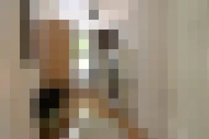 Van Leeuwenhoekstraat 5 Hilversum thumbnail 15