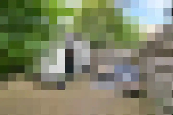 Van Leeuwenhoekstraat 5 Hilversum thumbnail 5