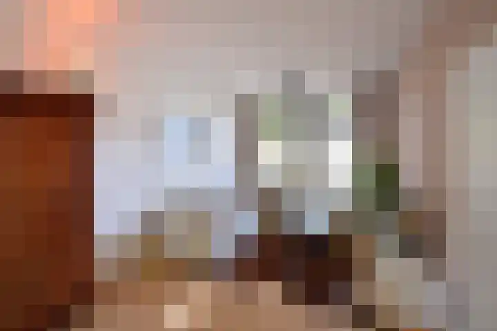 Van Leeuwenhoekstraat 5 Hilversum thumbnail 7