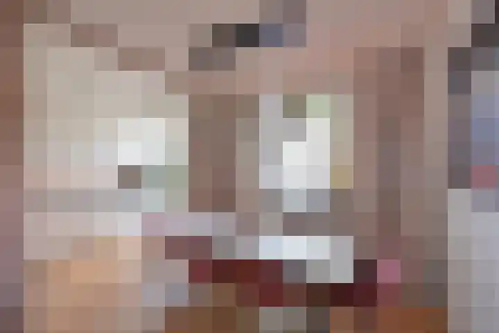 Van Leeuwenhoekstraat 5 Hilversum thumbnail 9