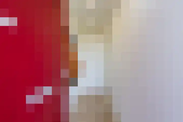 Van Leeuwenhoekstraat 60 Haarlem thumbnail 5