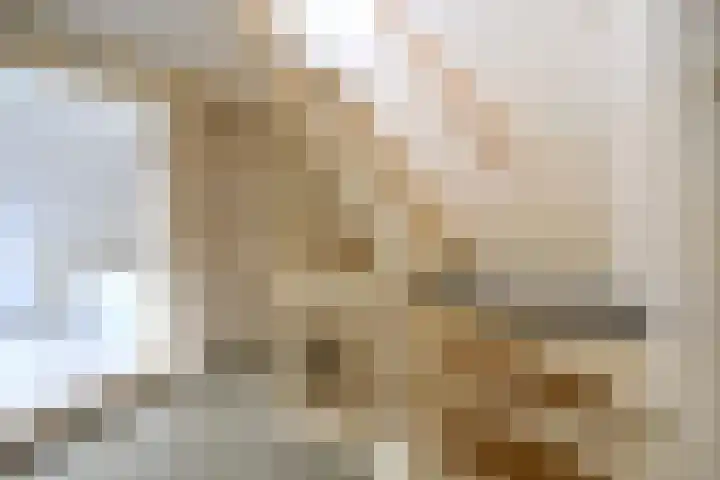 Van Leeuwenhoekstraat 62 Hilversum thumbnail 14